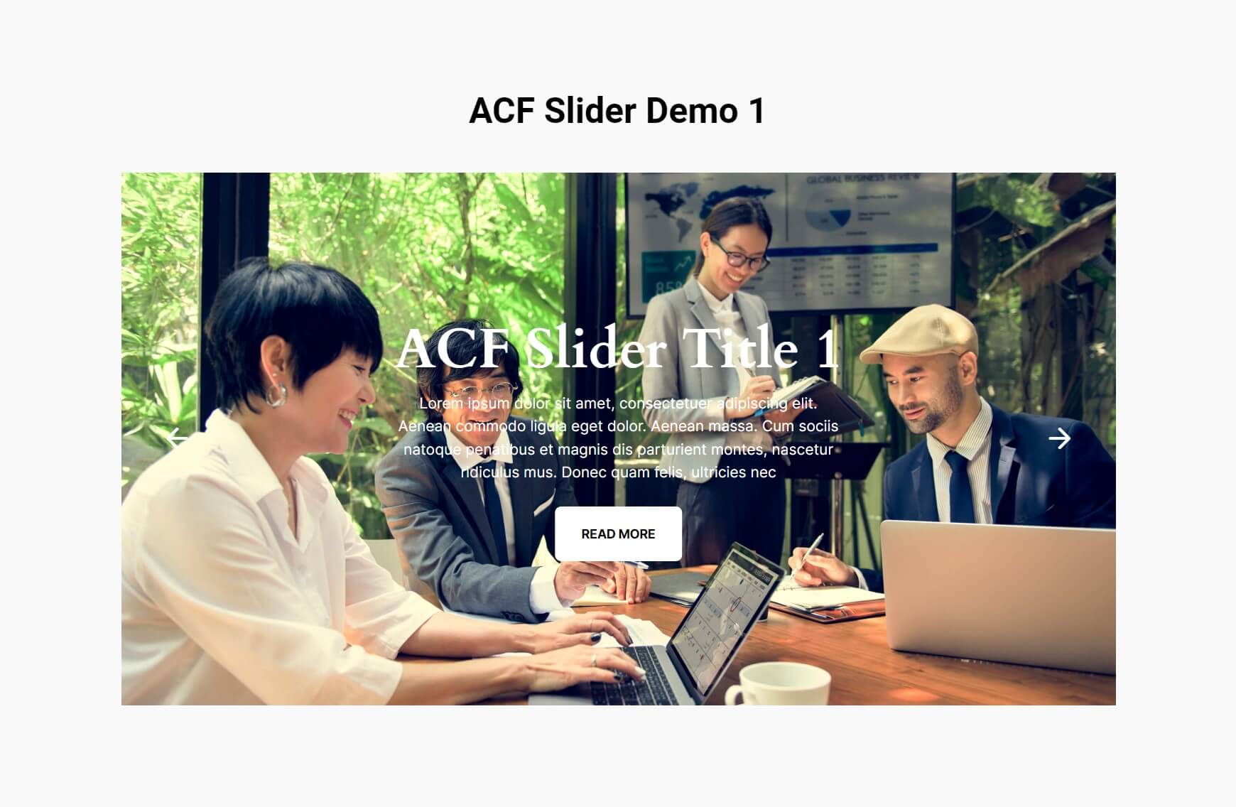 acf-slider-demo-1