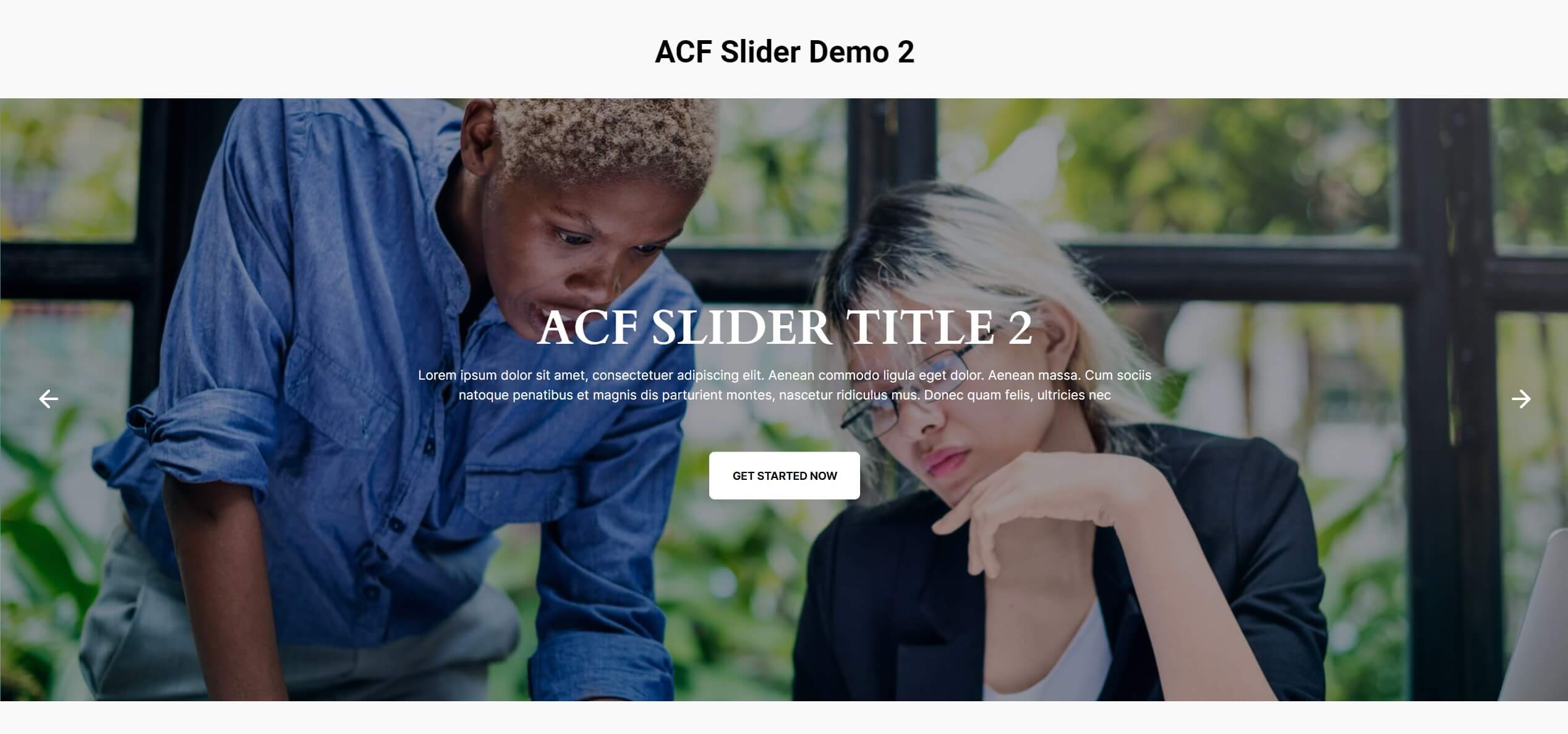 acf-slider-demo-2