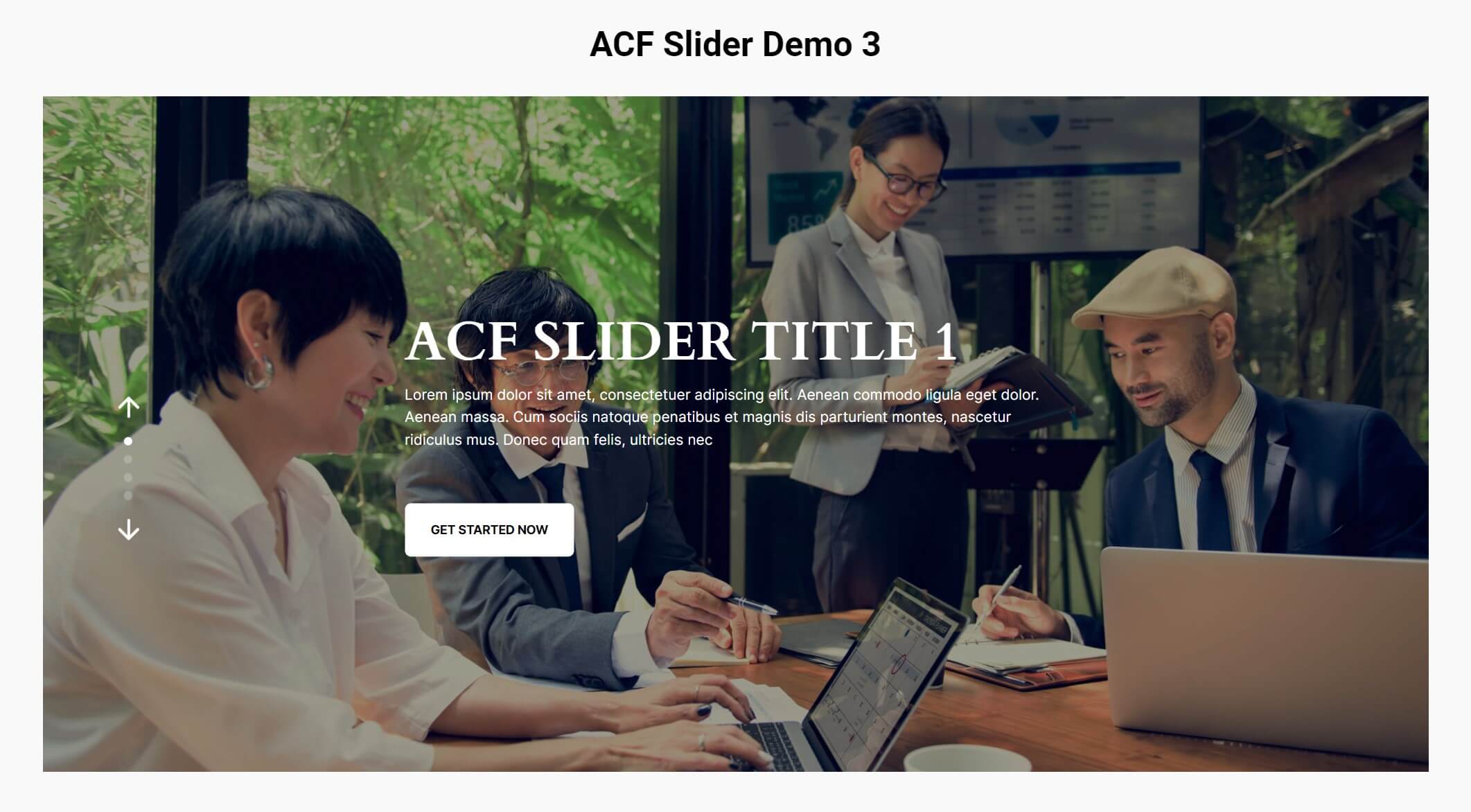 acf-slider-demo-3
